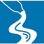Anchoring Primers and Additives Anchoring Primers and Additives